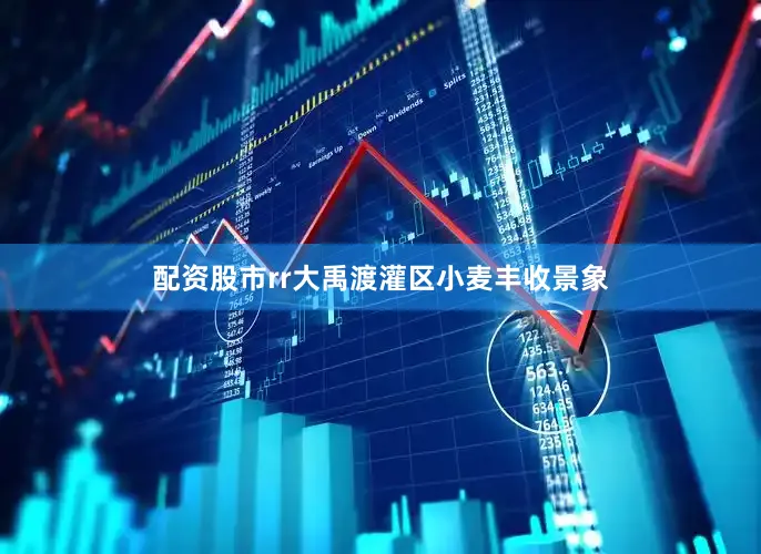 配资股市rr大禹渡灌区小麦丰收景象