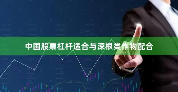 中国股票杠杆适合与深根类作物配合