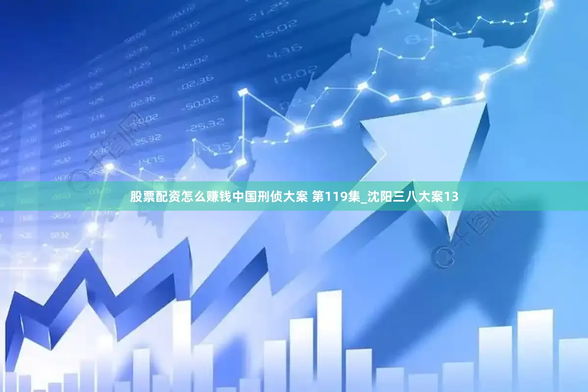 股票配资怎么赚钱中国刑侦大案 第119集_沈阳三八大案13
