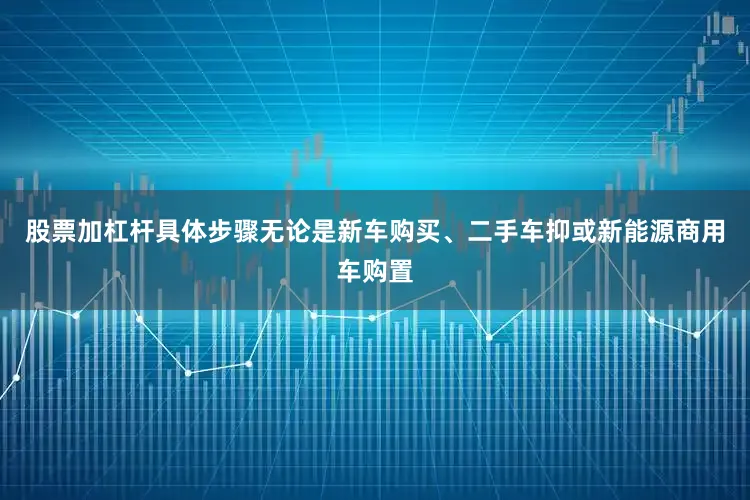 股票加杠杆具体步骤无论是新车购买、二手车抑或新能源商用车购置